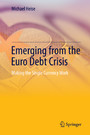 Emerging from the Euro Debt Crisis - Making the Single Currency Work
